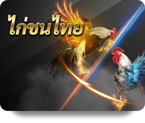เว็บพนันกีฬา ไก่ชน